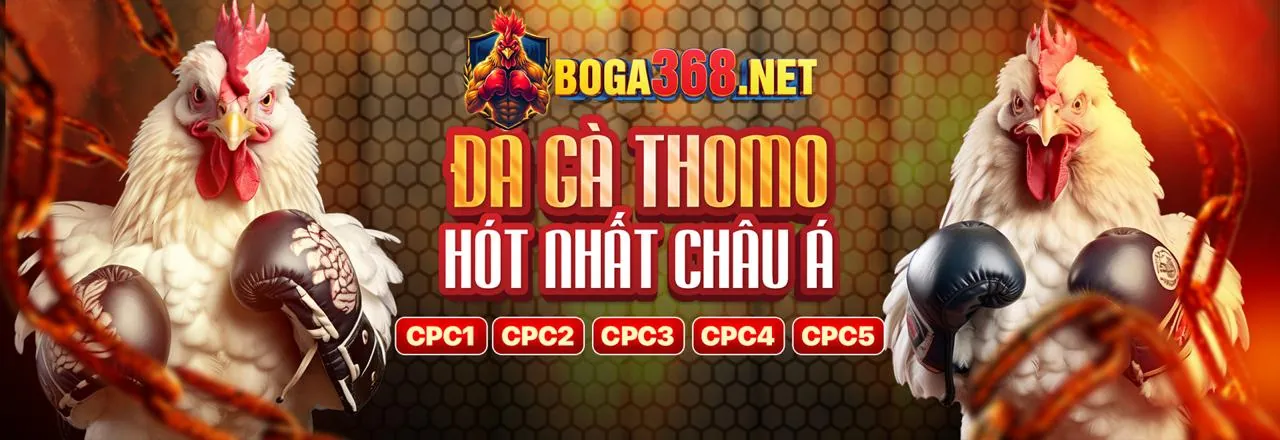 Hình ảnh tiêu đề lớn cho trang Điều Khoản Dịch Vụ của ffok code